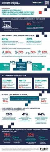Inetumxcsa Synthetudeobservatoire Digitalflow Infographie